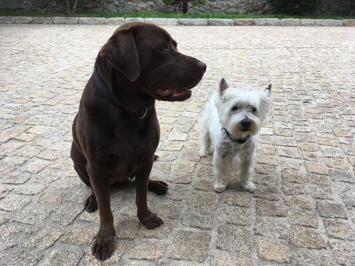 Bergui Guesthouse - Guimarães Esterno foto